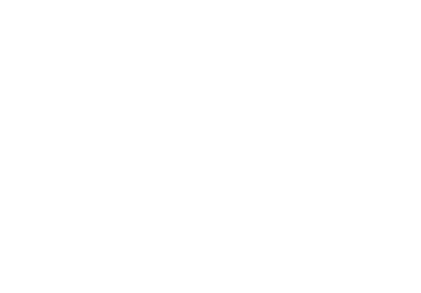 Lonely Wolf logo