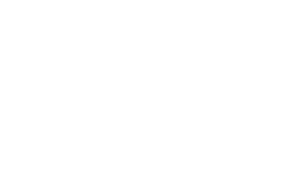 NZ Web Fest logo